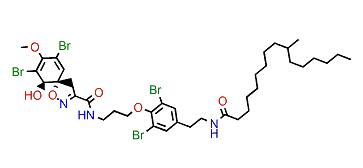 Araplysillin IV